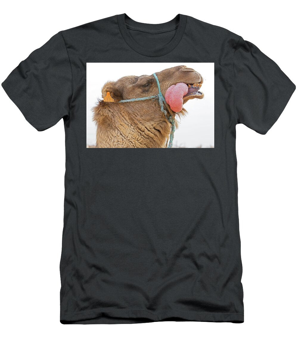 1 Dromedary Camel Male Mating Display with Inflated Palate Louis Marie Preau Natureplcom T-Shirt