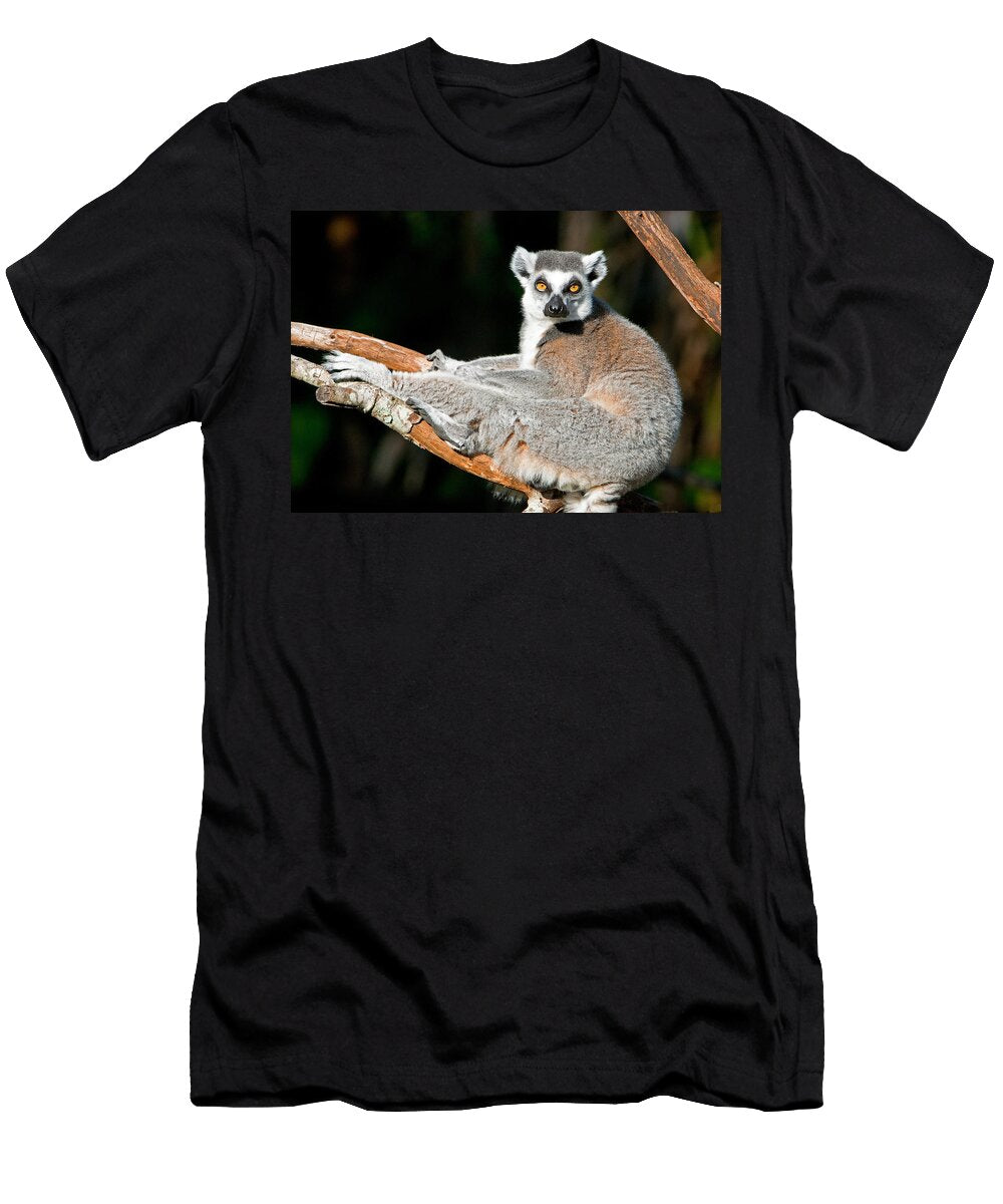 36 Ring Tailed Lemur Millard H Sharp T-Shirt