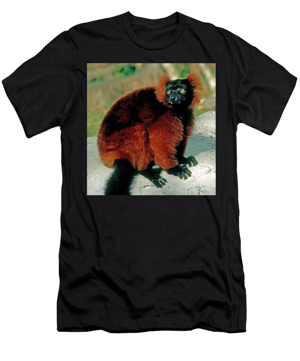 7 Red Ruffed Lemur Millard H Sharp T-Shirt