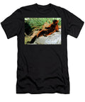 8 Red Ruffed Lemur Millard H Sharp T-Shirt