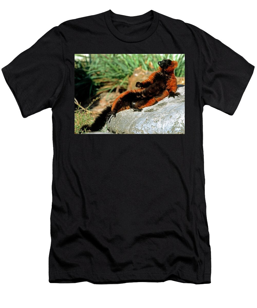 8 Red Ruffed Lemur Millard H Sharp T-Shirt