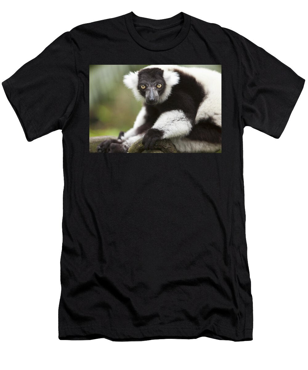 A Black and White Ruffed Lemur Varecia Deddeda T-Shirt
