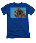Bactrian Camel Bashang Grassland Zhangjiakou Hebei Sylvain Cordier Natureplcom T-Shirt