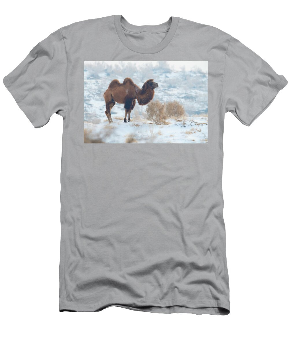 Bactrian Camel Male Living in the Wild But Owned By a Camel Staffan Widstrand Wild Wonders of China Natureplcom T-Shirt