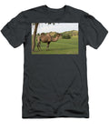 Bactrian Camel Standing Beneath Tree Bashang Grassland Sylvain Cordier Natureplcom T-Shirt
