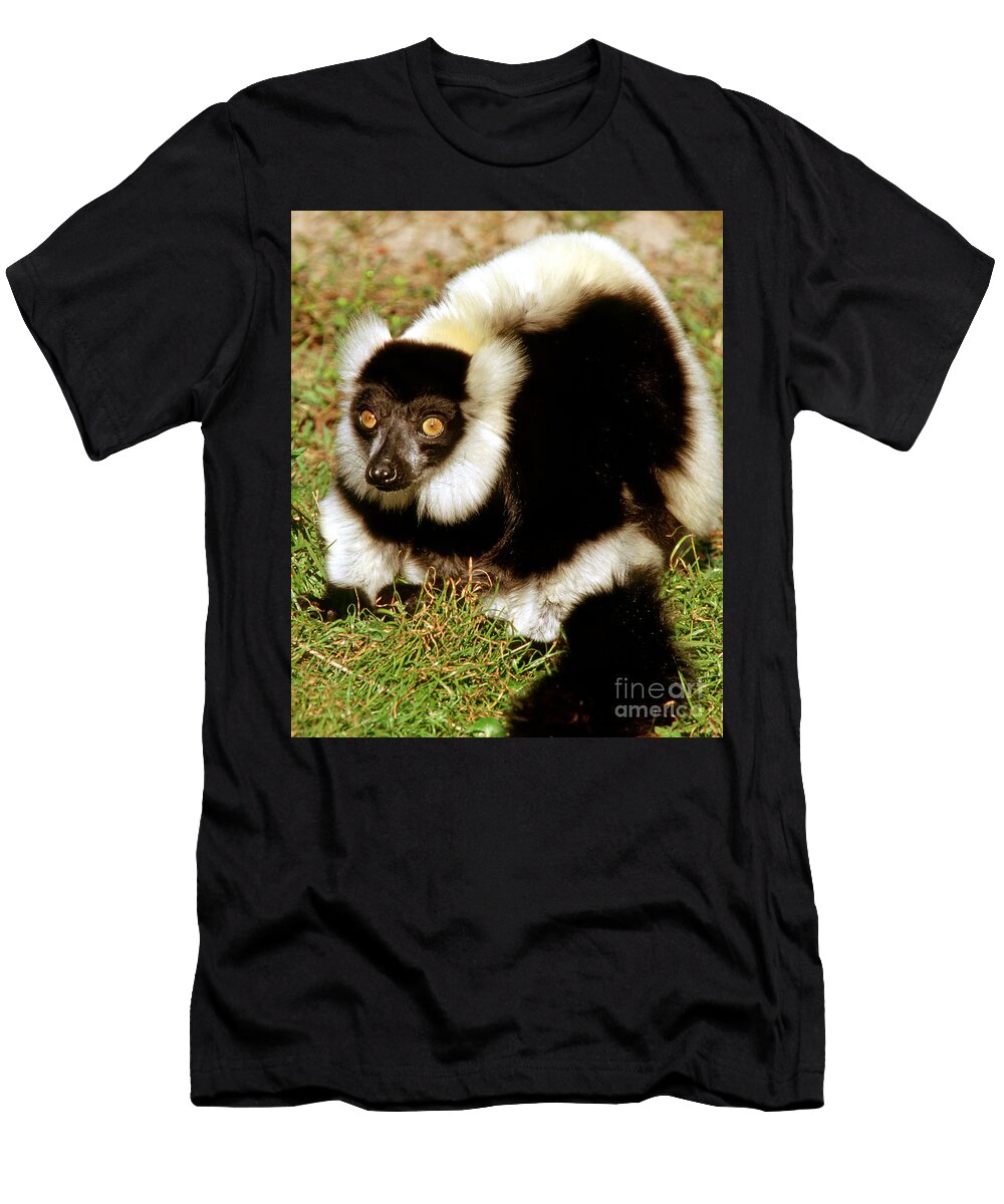 Black and White Ruffed Lemur Millard H Sharp T-Shirt