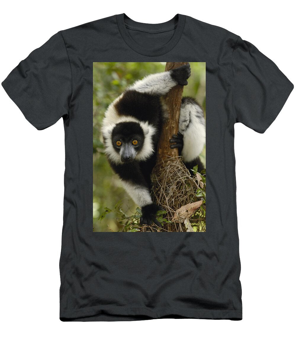 Black and White Ruffed Lemur Varecia Pete Oxford T-Shirt