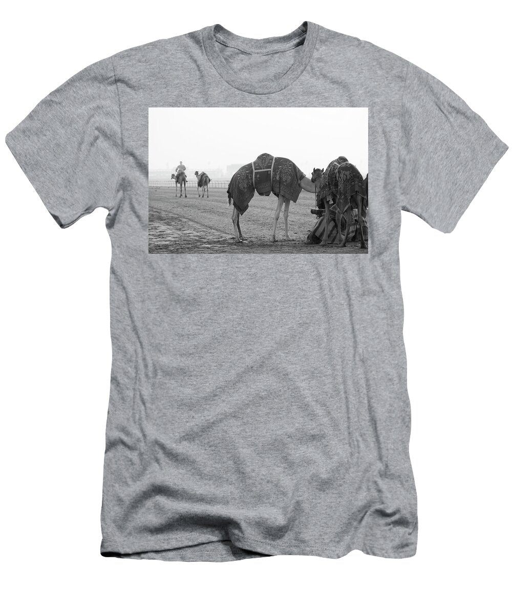 Camels on a Racing Track Al Marqadh Dubai United Arab Emirates Panoramic Images T-Shirt