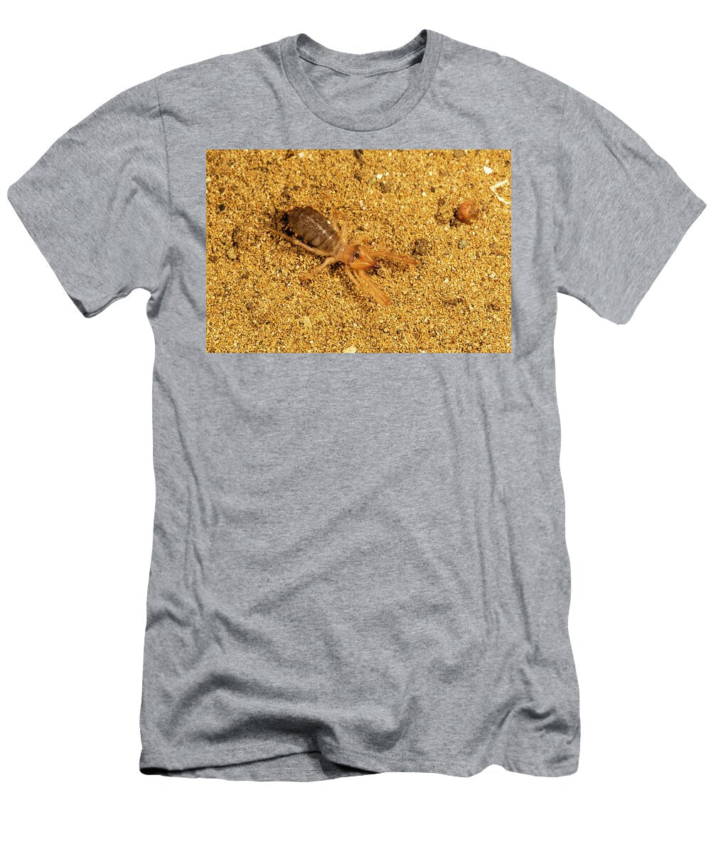 Cyprus Camel Spider Sun Spider on Sand Paphos Chris Mattison Natureplcom T-Shirt