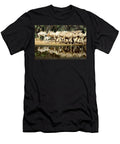 Dromedary Camel Herd Beside Water Inside a Gorge on the Enrique Lopez Tapia Natureplcom T-Shirt