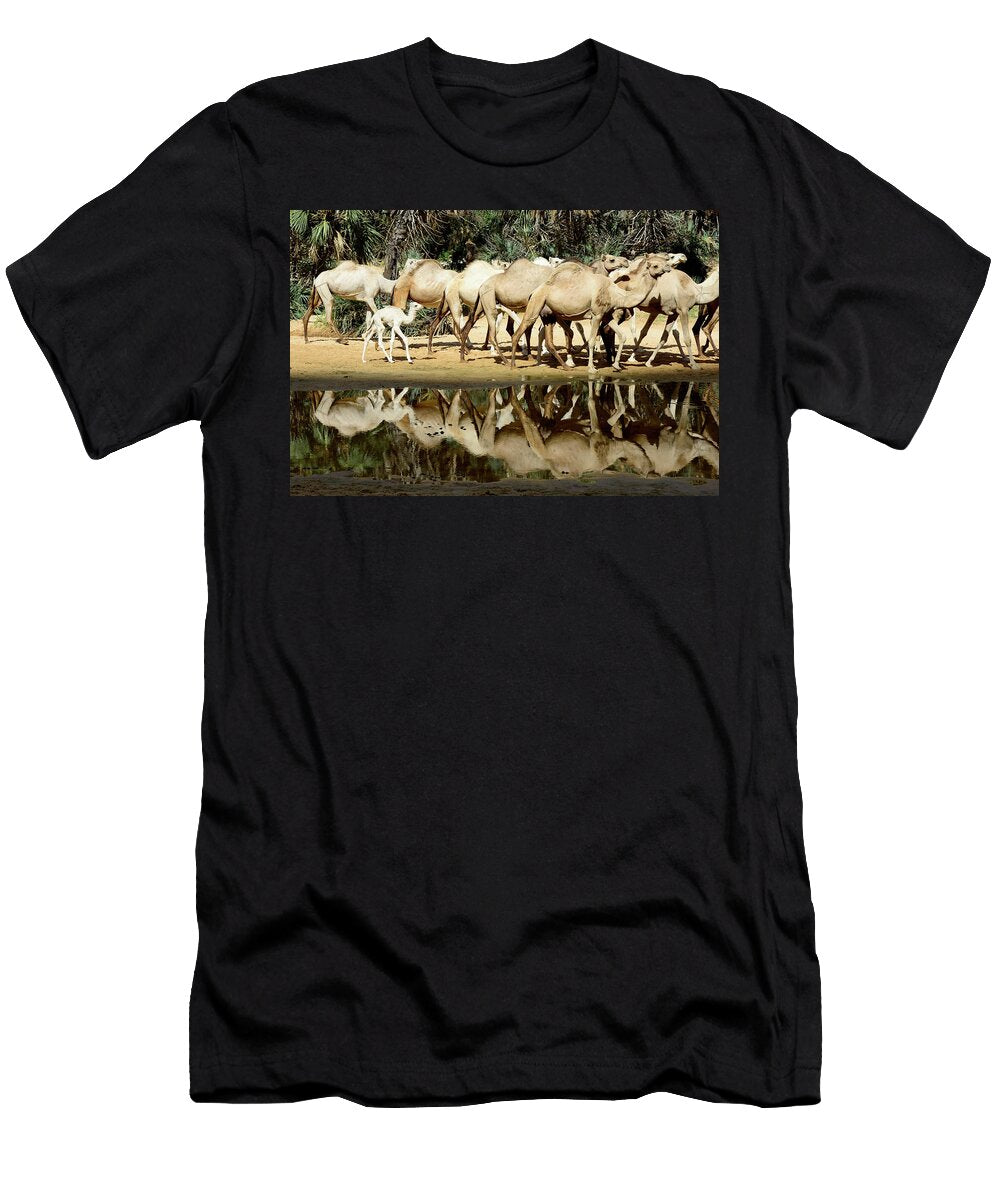 Dromedary Camel Herd Beside Water Inside a Gorge on the Enrique Lopez Tapia Natureplcom T-Shirt