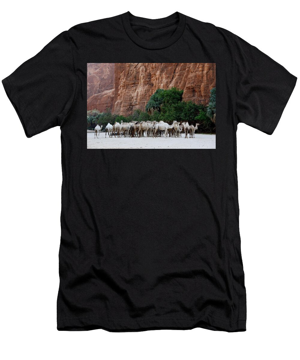 Dromedary Camel Herd in a Gorge with Water on the Ennedi Enrique Lopez Tapia Natureplcom T-Shirt