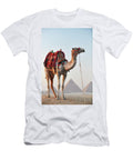 Egypt Cairo Giza Camel Resting in Front of the Great Pyramids Richard Taylor T-Shirt