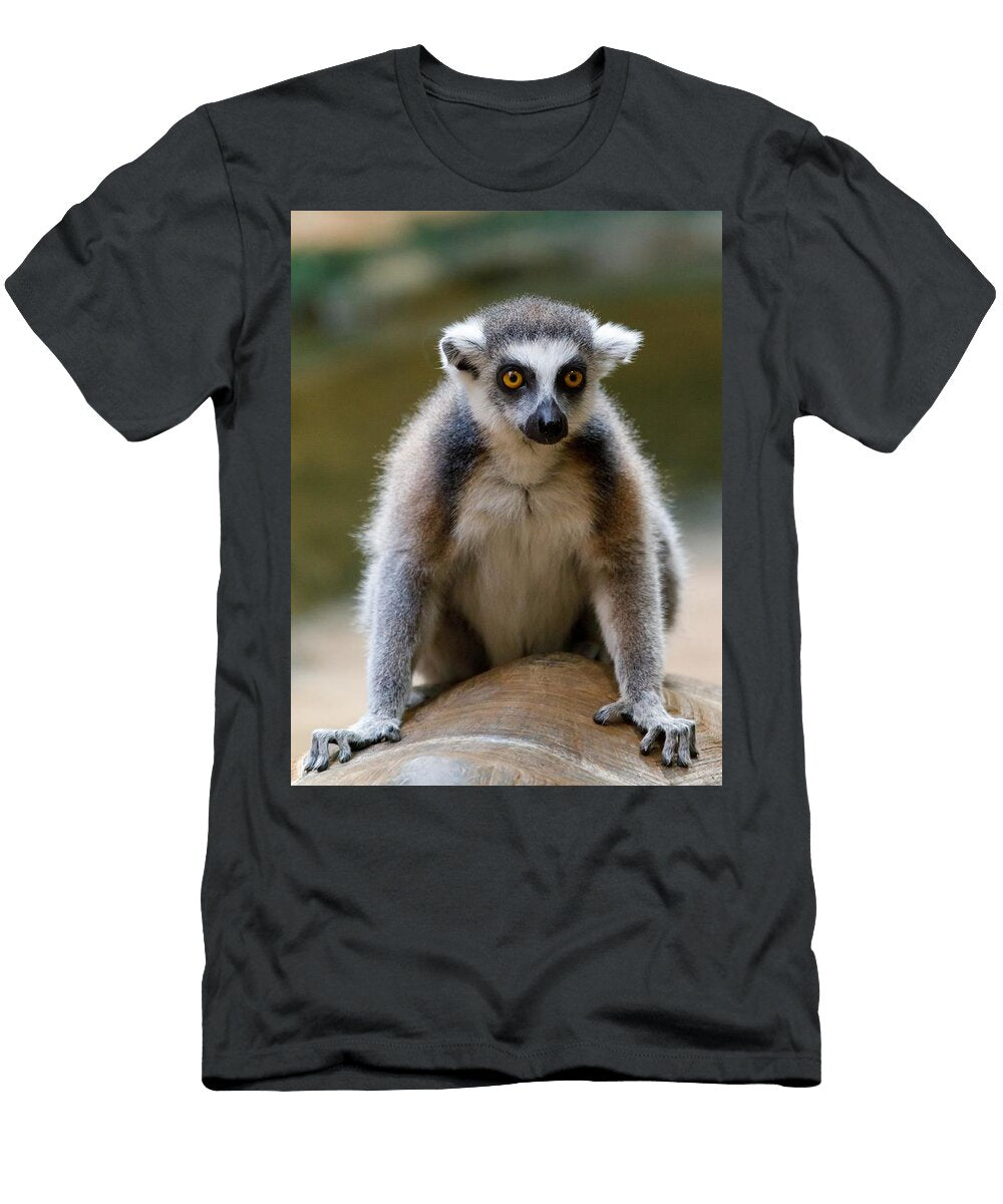 Lemur Portrait N9 Les Classics T-Shirt
