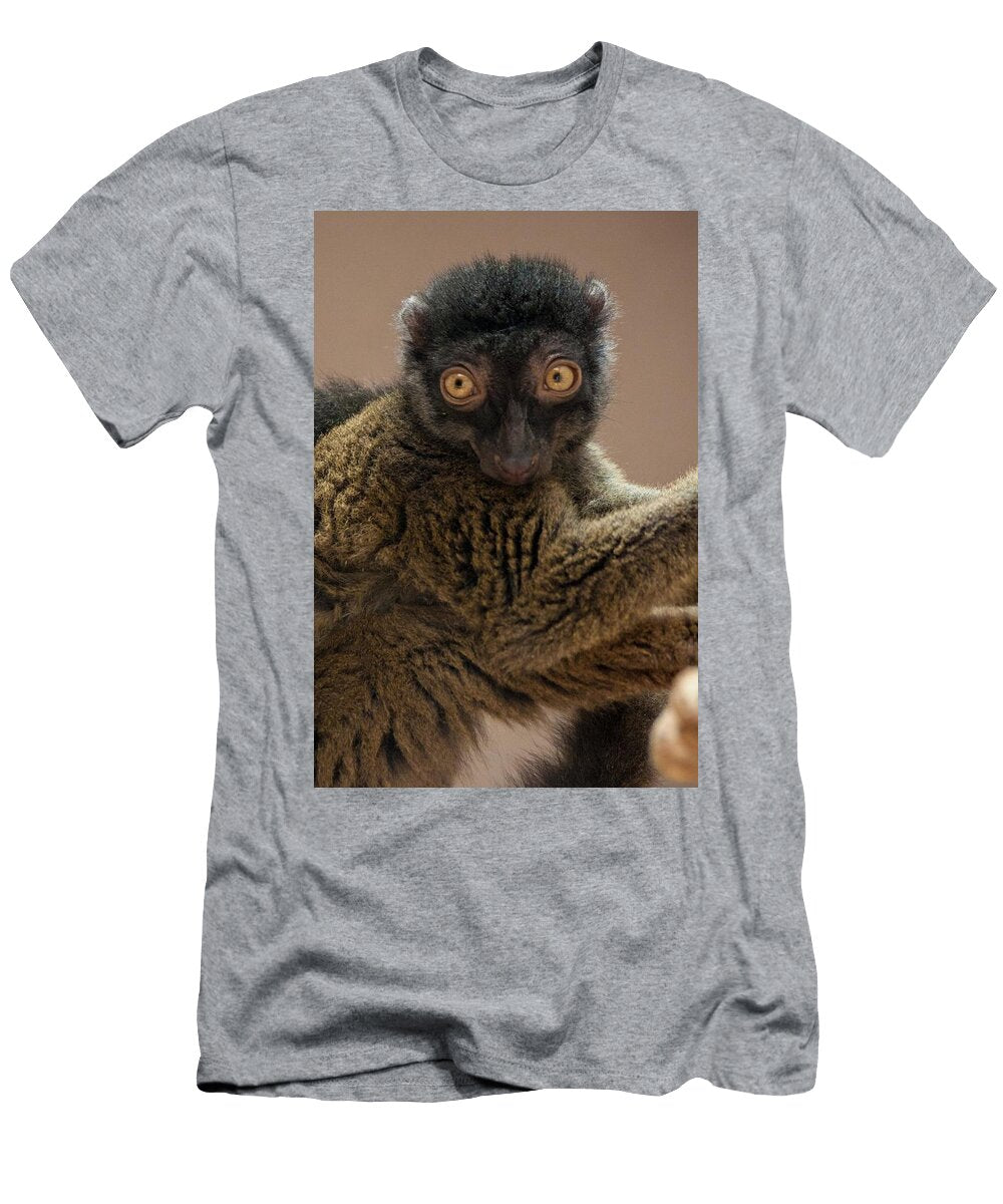 Lemur R7 Les Classics T-Shirt