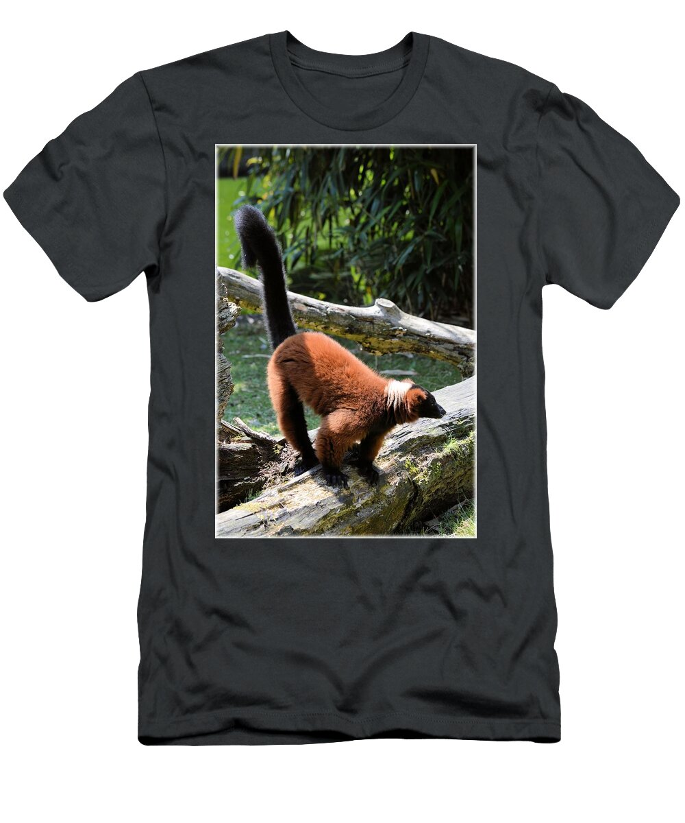 Lemurs 01 Les Classics T-Shirt