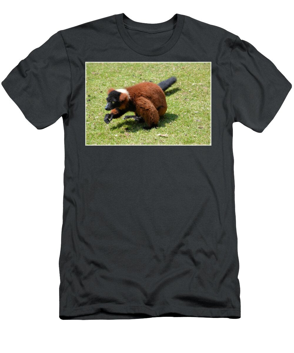 Lemurs 02 Les Classics T-Shirt