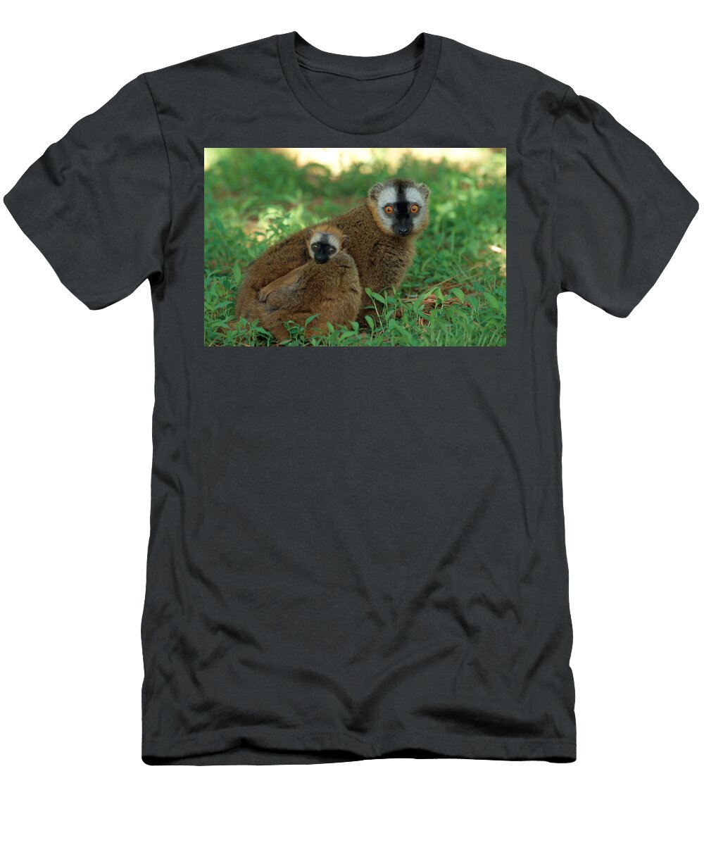 Red Fronted Brown Lemur with Young Thomas and Pat Leeson T-Shirt