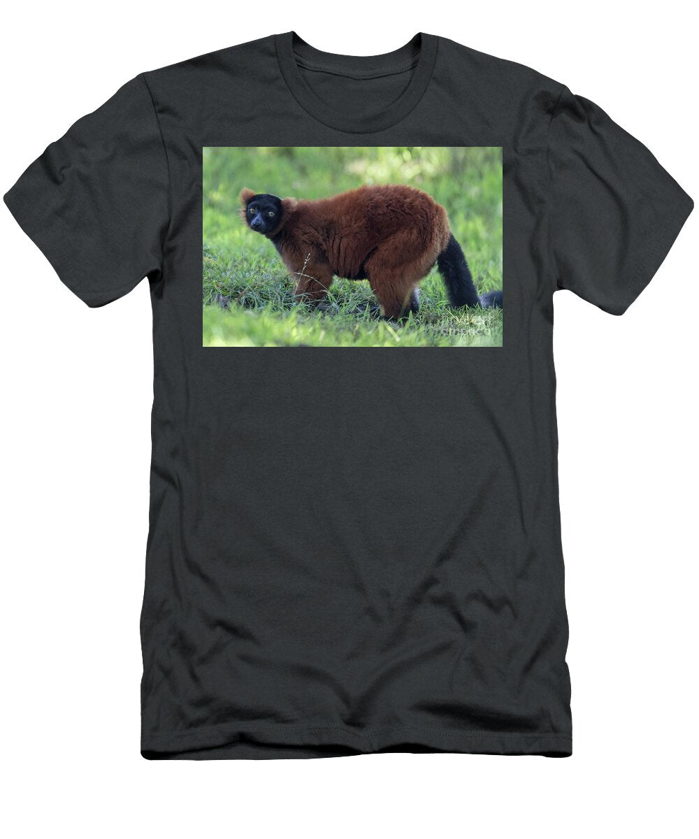 Red Ruffed Lemur Looking At the Camera Yuval Helfman T-Shirt
