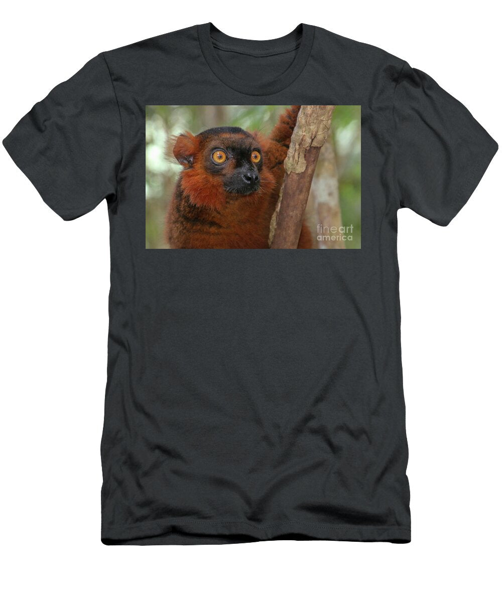 Red Ruffed Lemur Varecia Rubra Gilad Flesch T-Shirt