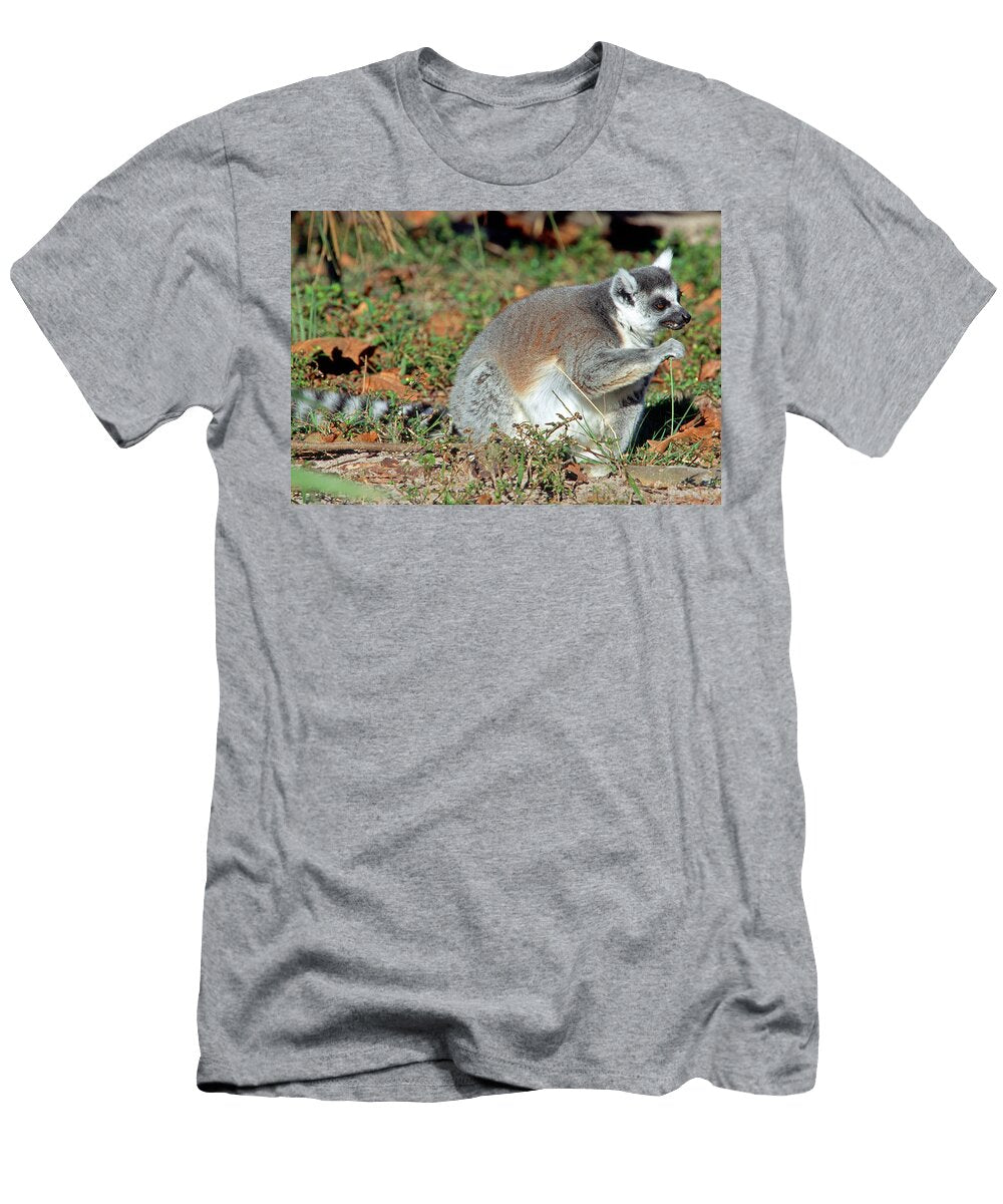 Ring Tailed Lemur Lemur Catta Feeding Millard H Sharp T-Shirt