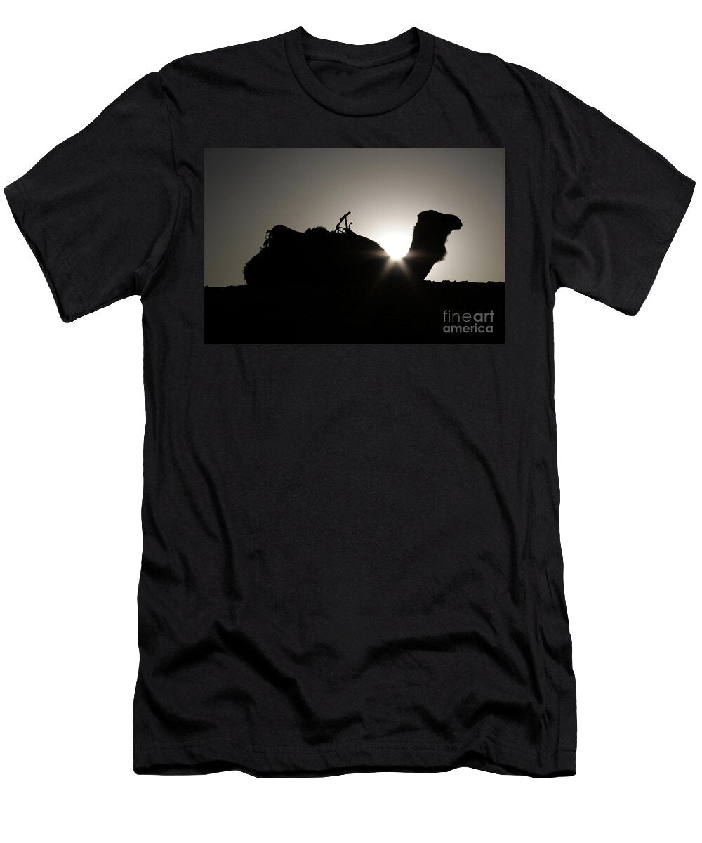 Silhouette of Camel Against Light Erg Chebbi Morocco Photography T-Shirt