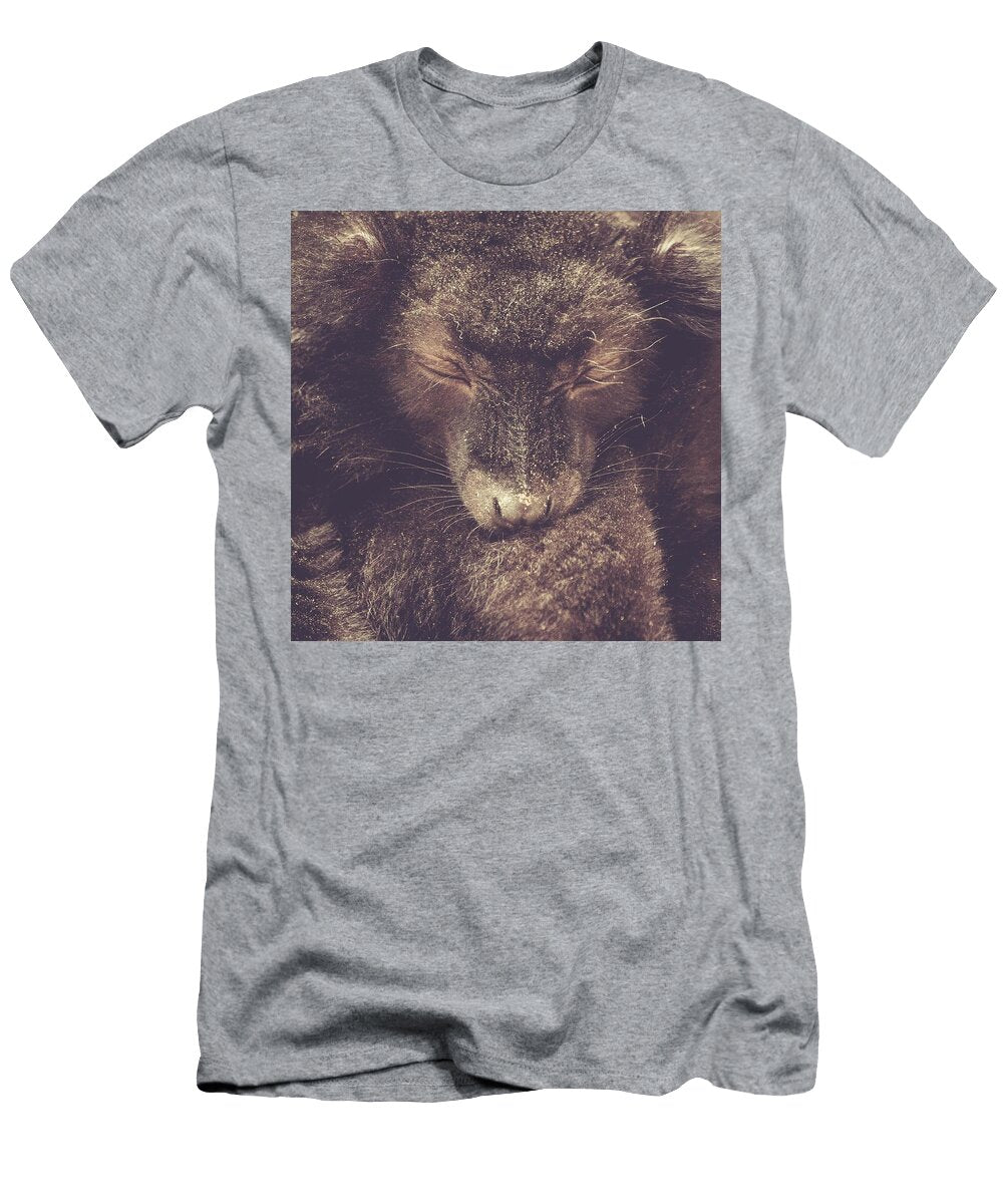 Sleeping Lemur Les Classics T-Shirt