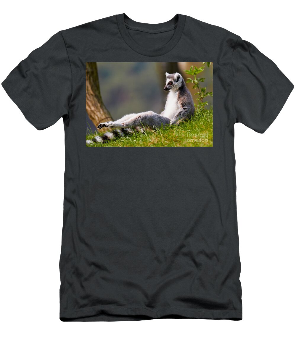 Sun Bathing Ring Tailed Lemur Nick Biemans T-Shirt